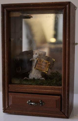 Illustration for article titled Don't Pierce The Shitbag: Adventures in Taxidermy